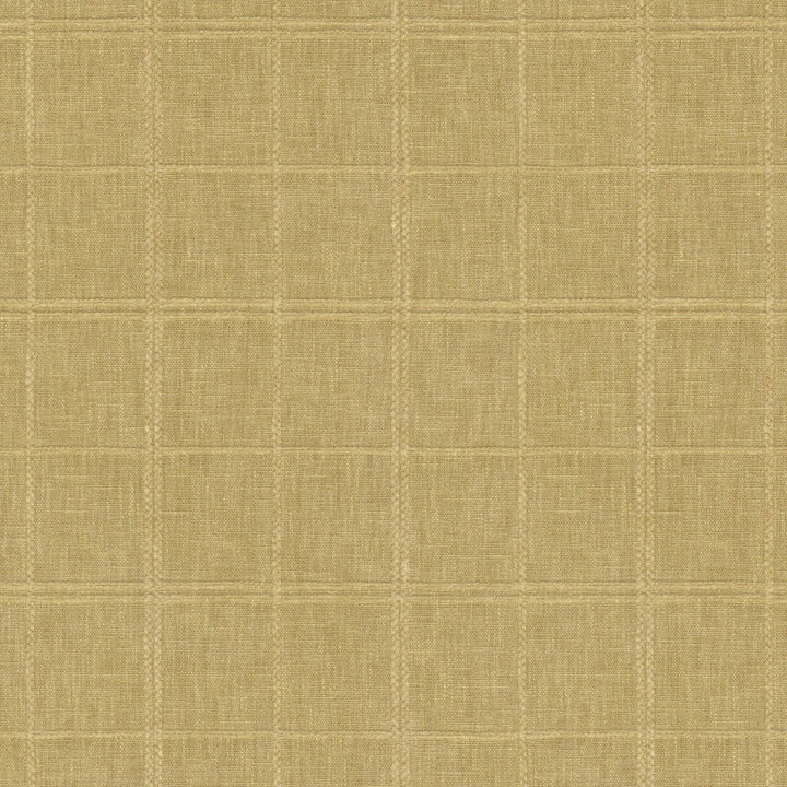 Moray Golden 410658 by PKL Studio Fabric 50% polyester, 50% cotton India 51000 Horizontal: 4 and Vertical: 4.5 54 - Fabric Carolina -