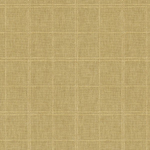 Moray Golden 410658 By PKL Studio Fabric