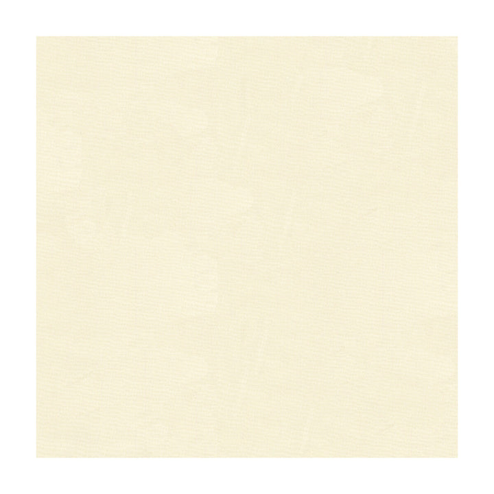 4106-1 by Kravet Basics Fabric - POLYESTER - 100% Turkey - Horizontal: - and Vertical: - 118 - Fabric Carolina -