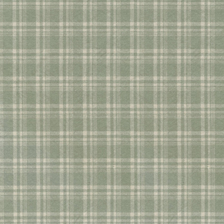 Clyde Mist 410725 by PKL Studio Fabric 55% Linen, 45% Cotton China 15000 Horizontal: 1.38 and Vertical: 1.63 54 - Fabric Carolina -