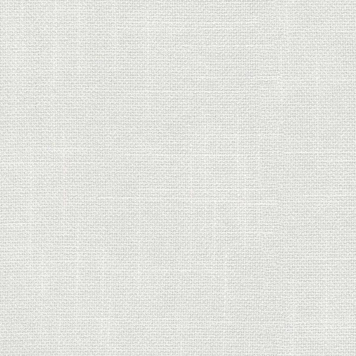 Perf Mixology White 410837 by Performance Fabric - Base:80% Polyester 20% Viscose Back:100% Acrylic needlpunch/coating CHINA 51000 Horizontal: 0 and Vertical: 0 54 - Fabric Carolina -