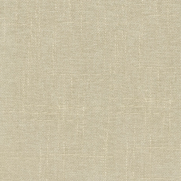 Perf Mixology Parchment 410840 by Performance Fabric - Base:80% Polyester 20% Viscose Back:100% Acrylic needlpunch/coating CHINA 51000 Horizontal: 0 and Vertical: 0 54 - Fabric Carolina -