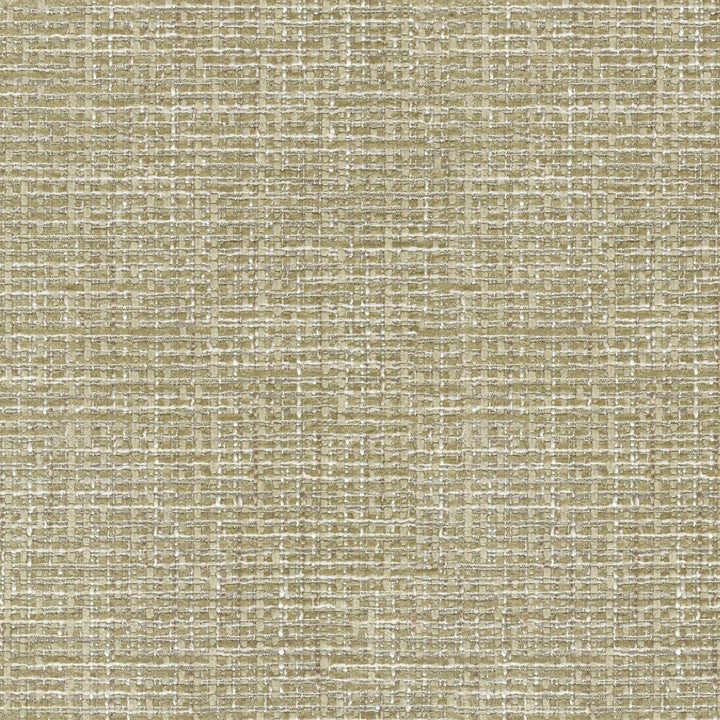 Perf Cocoluxe Rattan 410881 by Performance Fabric - 100% Polyester CHINA Horizontal: 0 and Vertical: 0 57 - Fabric Carolina -