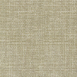 Perf Cocoluxe Rattan 410881 by Performance Fabric