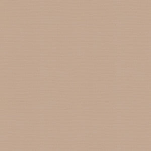 Vernon Shell 410938 by PKL Studio Fabric