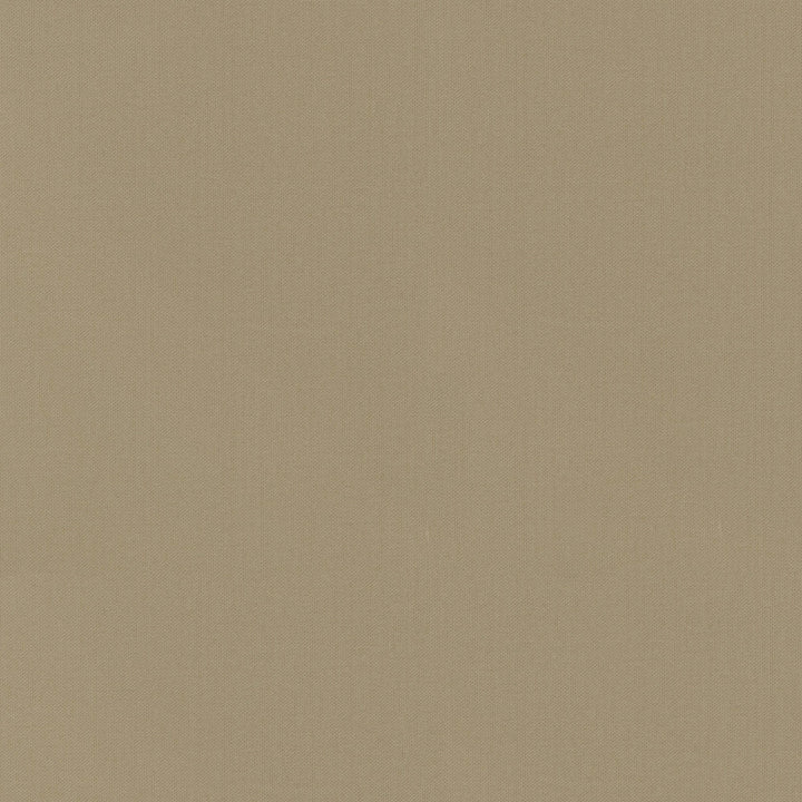 Vernon Linen 410949 by PKL Studio Fabric 100% Cotton India 21000 Horizontal: 0 and Vertical: 0 55 - Fabric Carolina -