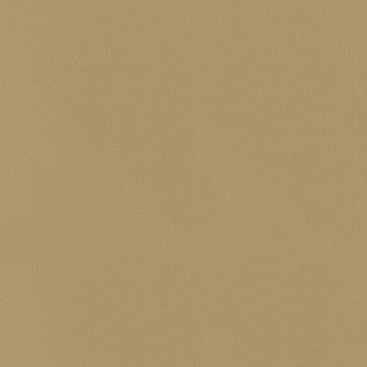 Vernon Wheat 410950 by PKL Studio Fabric 100% Cotton India 21000 Horizontal: 0 and Vertical: 0 55 - Fabric Carolina -