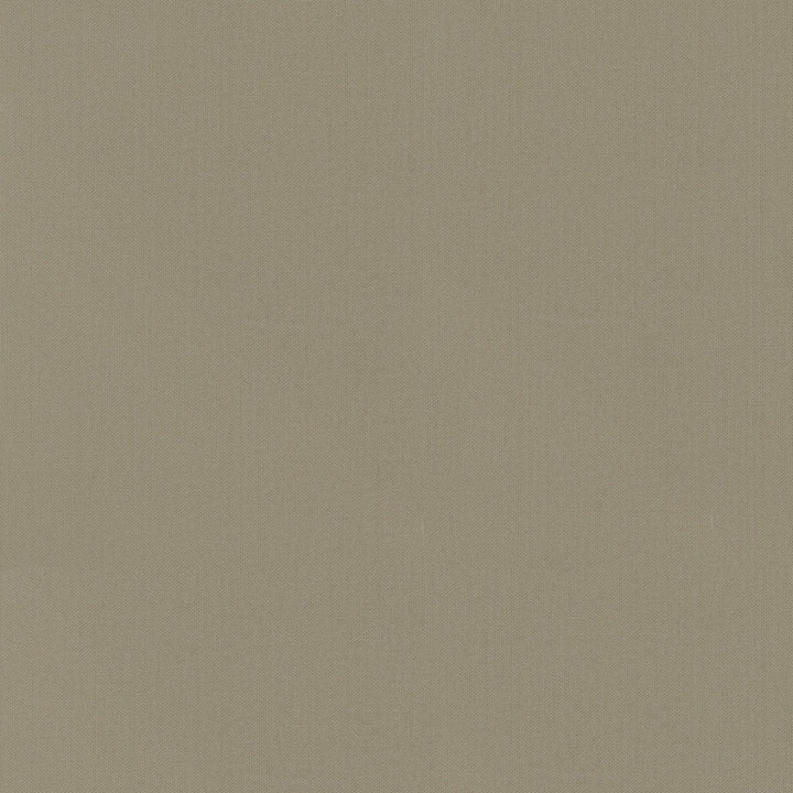 Vernon Hemp 410955 by PKL Studio Fabric - 100% Cotton INDIA 21000 Horizontal: 0 and Vertical: 0 55 - Fabric Carolina -