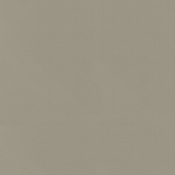Vernon Limstone 410958 by PKL Studio Fabric - 100% Cotton INDIA 21000 Horizontal: 0 and Vertical: 0 55 - Fabric Carolina -