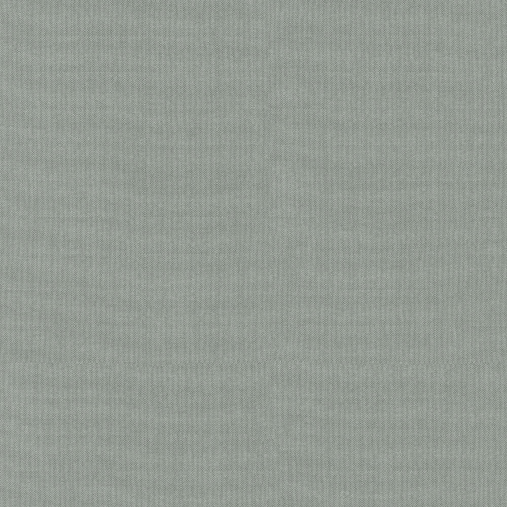 Vernon Pewter 410959 by PKL Studio Fabric - 100% Cotton INDIA 21000 Horizontal: 0 and Vertical: 0 55 - Fabric Carolina -