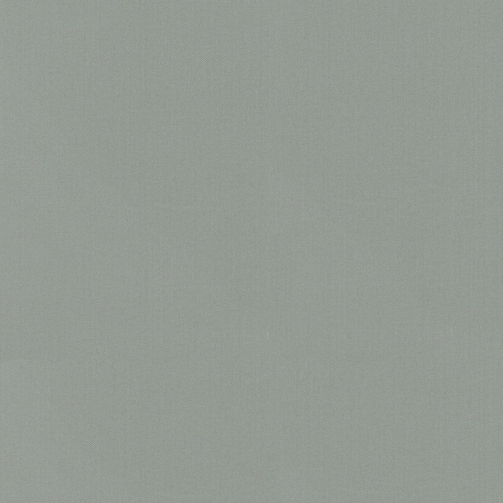 Vernon Pewter 410959 by PKL Studio Fabric - 100% Cotton INDIA 21000 Horizontal: 0 and Vertical: 0 55 - Fabric Carolina -