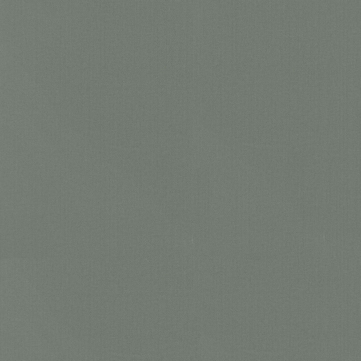Vernon Charcoal 410962 by PKL Studio Fabric - 100% Cotton INDIA 21000 Horizontal: 0 and Vertical: 0 55 - Fabric Carolina -