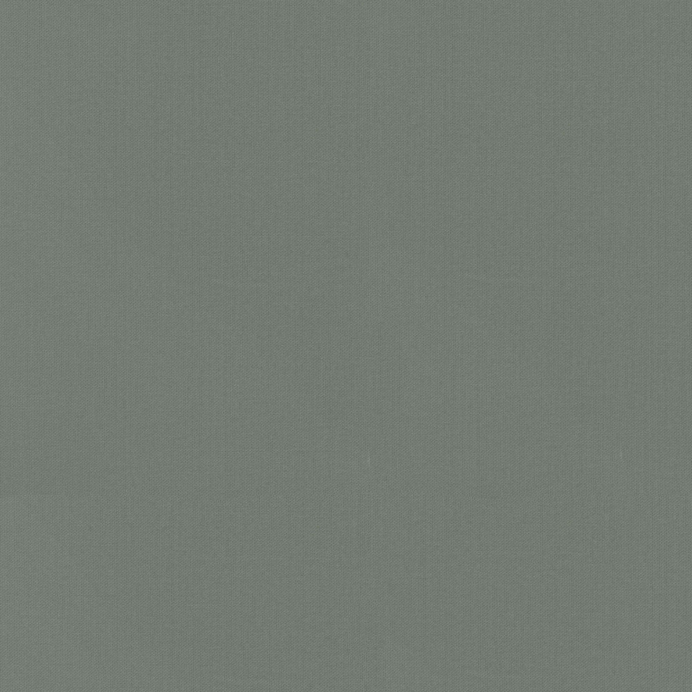 Vernon Charcoal 410962 by PKL Studio Designer Fabric - 100% Cotton INDIA 21000 Horizontal: 0 and Vertical: 0 55 - Swanky Fabrics -