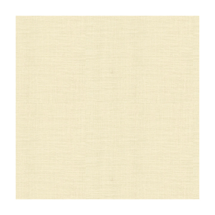 4110-111 by Kravet Basics Fabric POLYESTER FR - 100% Turkey Horizontal: and Vertical: 118 - Fabric Carolina -