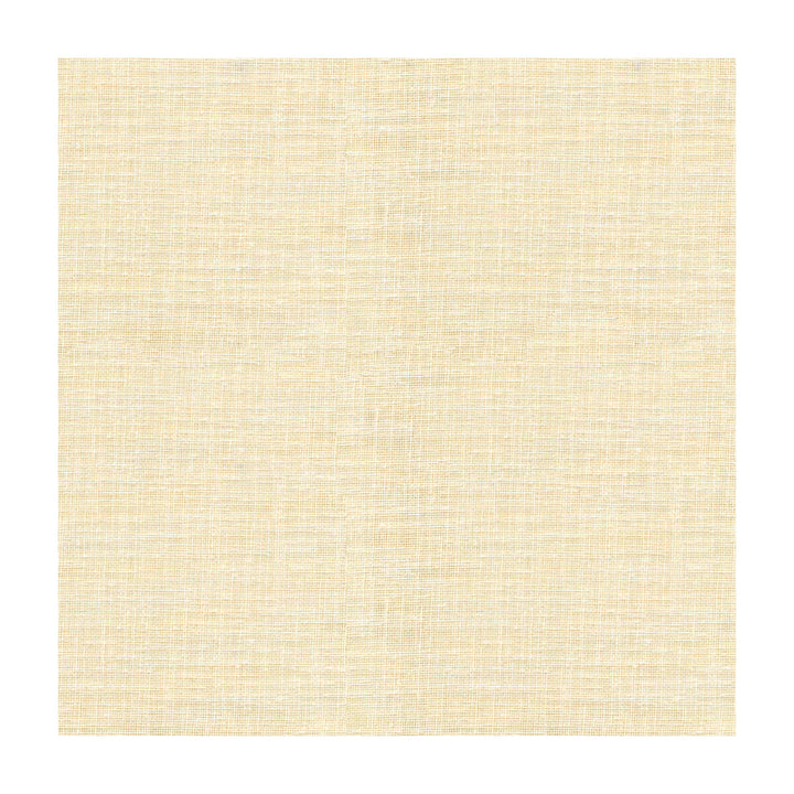 4110-1 by Kravet Basics Fabric - POLYESTER - 100% Turkey - Horizontal: - and Vertical: - 118 - Fabric Carolina -
