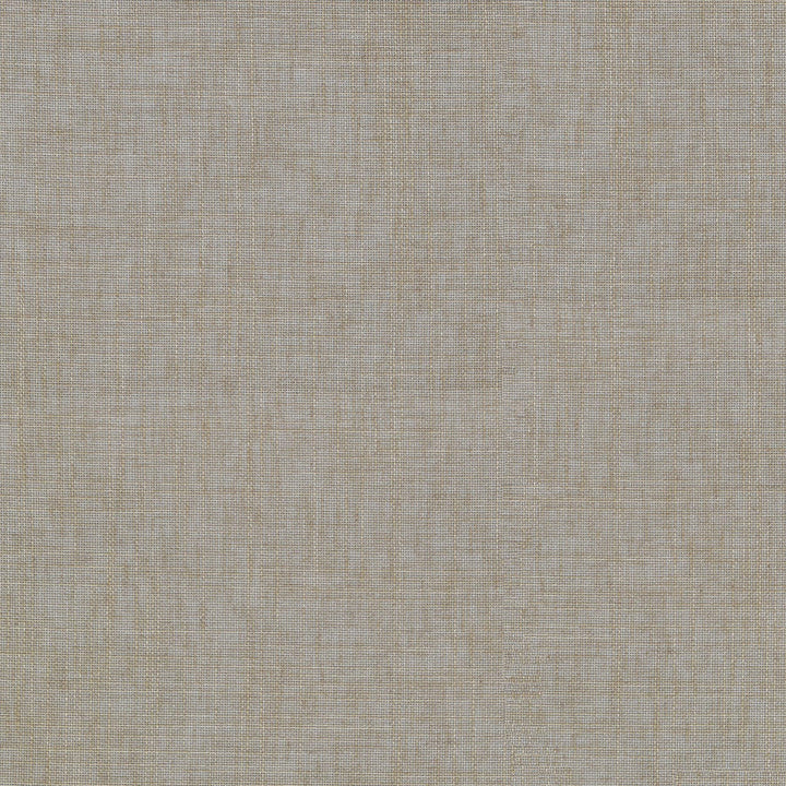 Angelina Linen 411102 by PKL Studio Fabric 74% Polyester, 16% Cotton, 10% Linen India n/a Horizontal: N/A and Vertical: N/A 54 - Fabric Carolina -