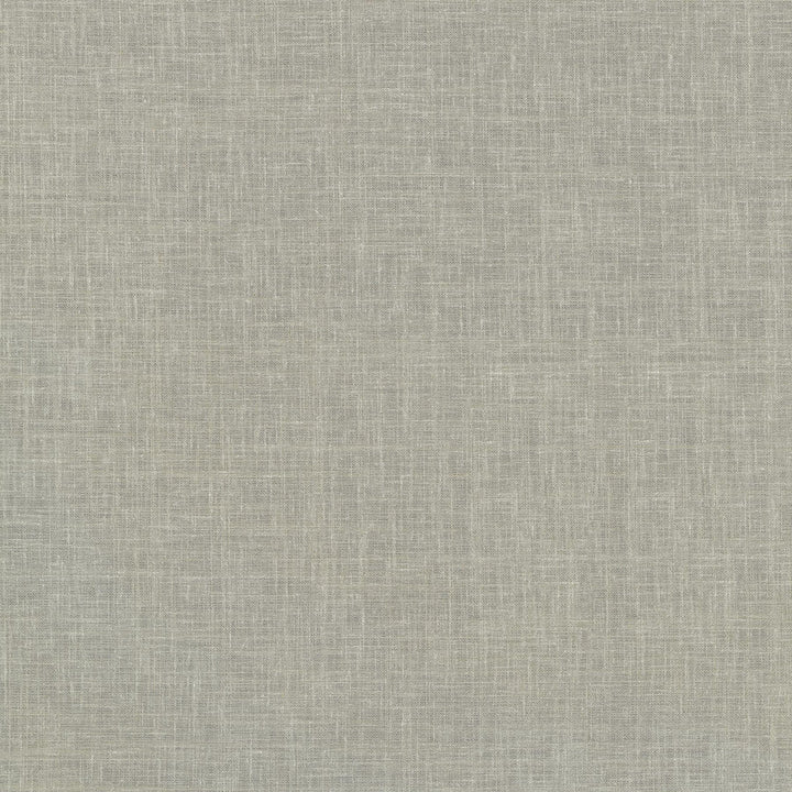 Isabella Silver 411113 by PKL Studio Fabric 66% Polyester, 21% Cotton, 13% Linen India n/a Horizontal: N/A and Vertical: N/A 54 - Fabric Carolina -