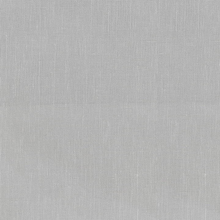 Ariana Silver 411131 by PKL Studio Fabric 66% Polyester, 17% Rayon, 17% Linen India n/a Horizontal: N/A and Vertical: N/A 57 - Fabric Carolina -