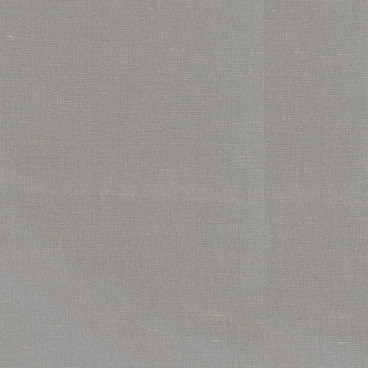 Ariana Gray 411132 by PKL Studio Fabric 66% Polyester, 17% Rayon, 17% Linen India n/a Horizontal: N/A and Vertical: N/A 57 - Fabric Carolina -