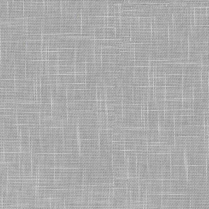 Sabrina Silver 411181 by PKL Studio Fabric 100% Polyester India 28000 Horizontal: N/A and Vertical: N/A 56 - Fabric Carolina -