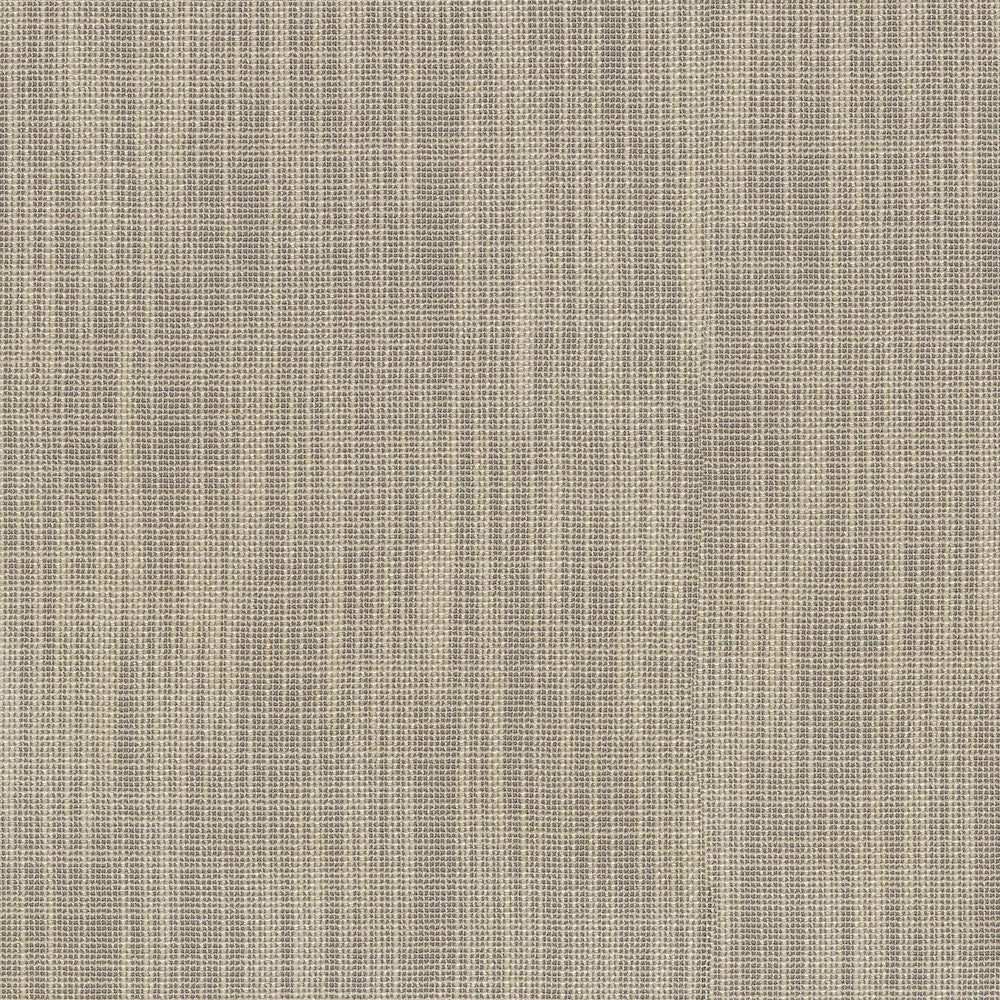 Lara Linen 411203 by PKL Studio Designer Fabric 100% Polyester India n/a Horizontal: N/A and Vertical: N/A 54 - Swanky Fabrics -