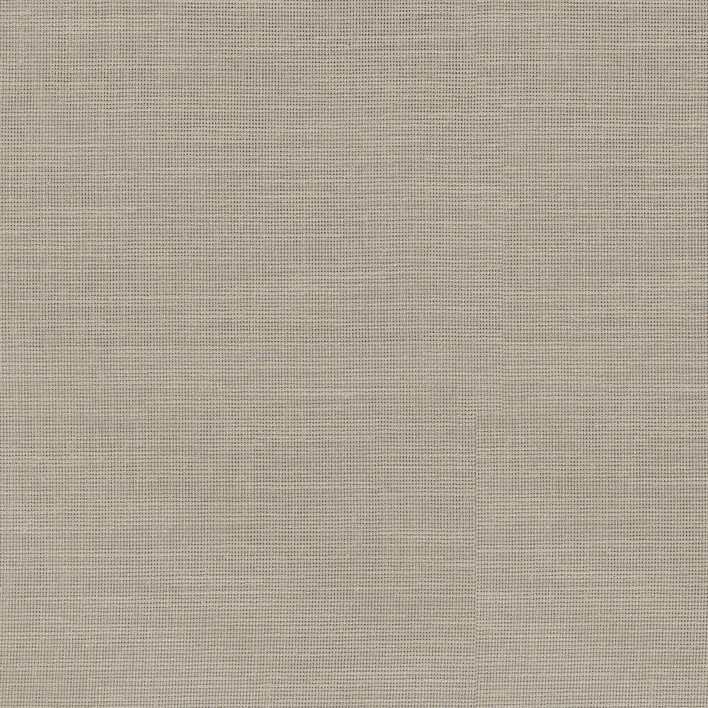 Chiara Linen 411222 by PKL Studio Fabric 100% Polyester India n/a Horizontal: N/A and Vertical: N/A 54 - Fabric Carolina -