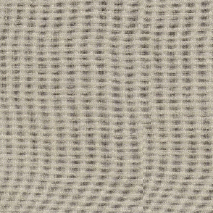 Chiara Linen 411222 by PKL Studio Fabric 100% Polyester India n/a Horizontal: N/A and Vertical: N/A 54 - Fabric Carolina -