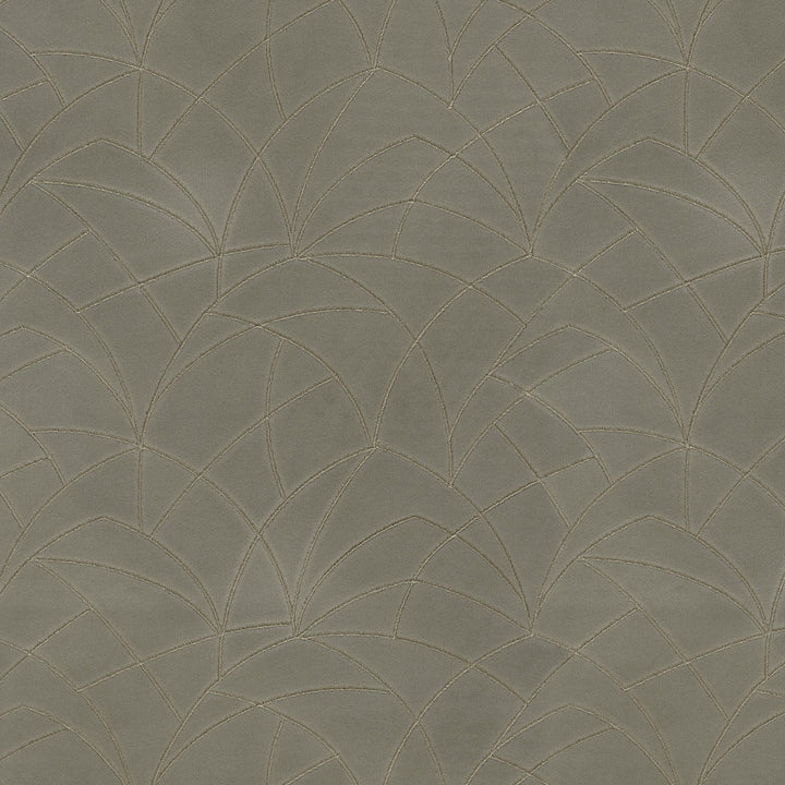 Curvature Embroidery Charcoal 411280 by PKL Studio Fabric - 95% polyester, 5% rayon Embroidery 100% rayon India 51000 Horizontal: 9 and Vertical: 6 55/54 - Fabric Carolina -