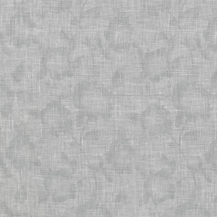 Lucia Silver 411340 by PKL Studio Fabric 100% Linen India n/a Horizontal: 6 and Vertical: 6 54 - Fabric Carolina -