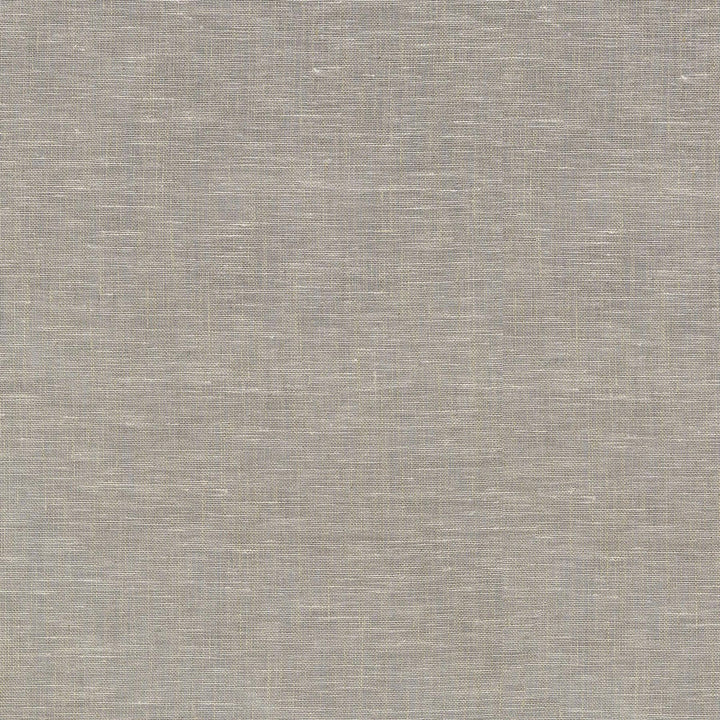 Zeta Natural 411364 by PKL Studio Designer Fabric 100% Linen India n/a Horizontal: N/A and Vertical: N/A 54 - Swanky Fabrics -