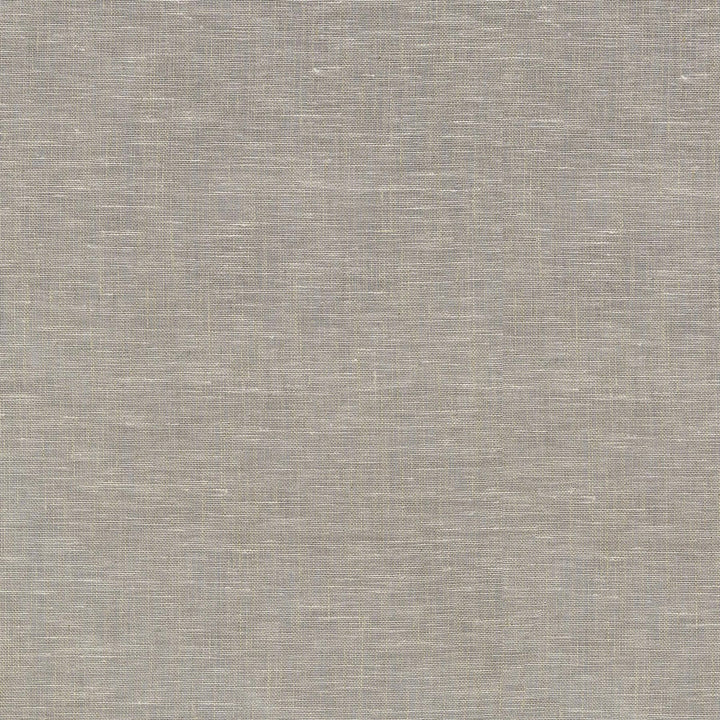 Zeta Natural 411364 by PKL Studio Fabric 100% Linen India n/a Horizontal: N/A and Vertical: N/A 54 - Fabric Carolina -