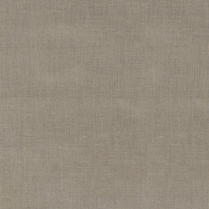 Zeta Linen 411365 by PKL Studio Fabric 100% Linen India n/a Horizontal: N/A and Vertical: N/A 54 - Fabric Carolina -