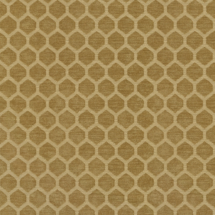 Performance Honeycomb Golden 411371 by PKL Studio Fabric - 100% polyester China 51000 Horizontal: 1.25 and Vertical: 1 55/56 - Fabric Carolina -