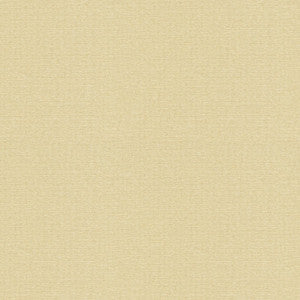 Kravet Basics 4113-16 by Kravet Basics Fabric