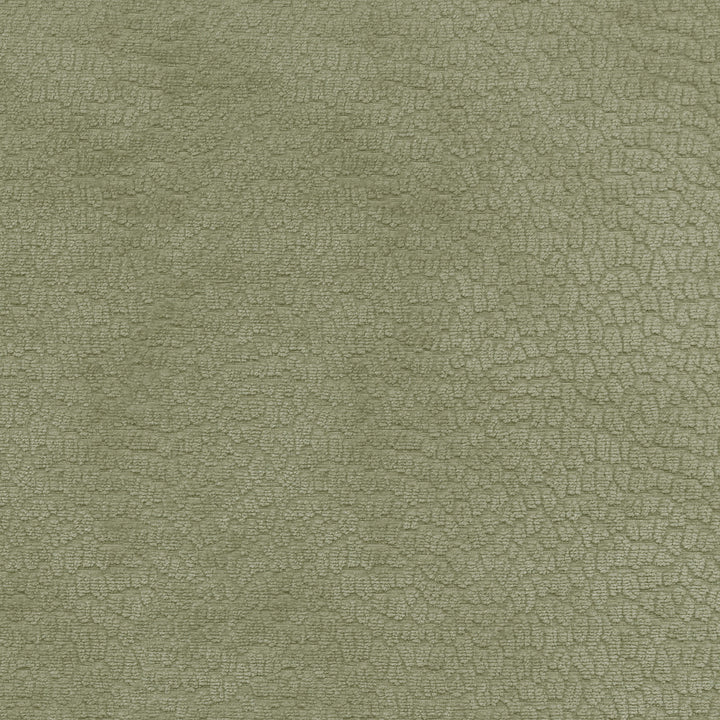 Performance Pebblestone Sage 411469 by PKL Studio Fabric - 100% polyester China 51000 Horizontal: 6.8 and Vertical: 6.8 55 - Fabric Carolina -
