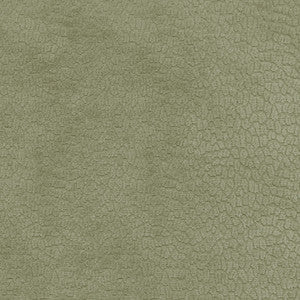 Performance Pebblestone Sage 411469 by PKL Studio Fabric