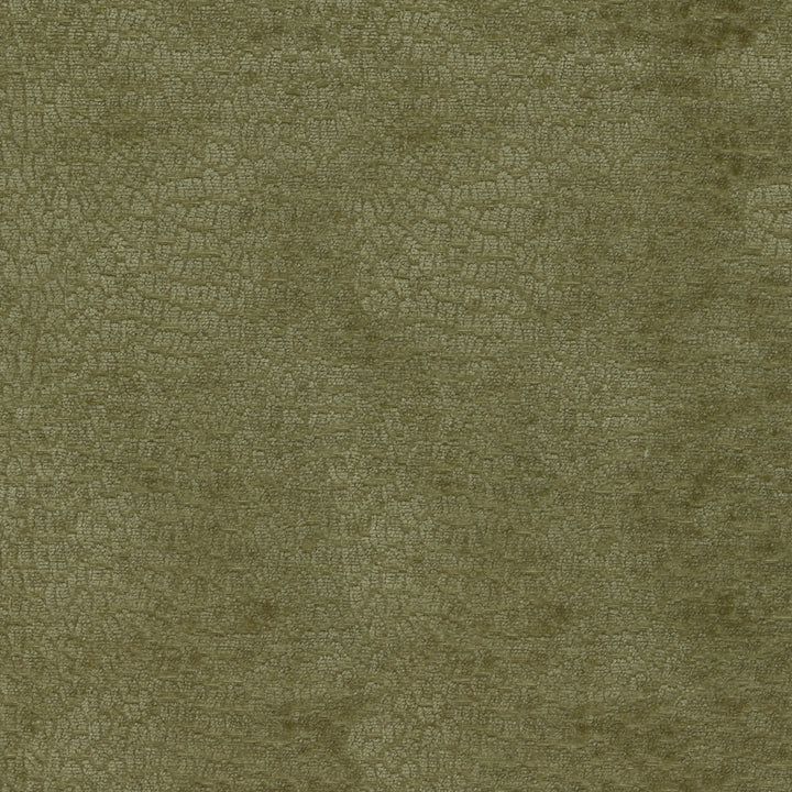 Performance Pebblestone Herbal 411470 by PKL Studio Fabric - 100% polyester China 51000 Horizontal: 6.8 and Vertical: 6.8 55 - Fabric Carolina -