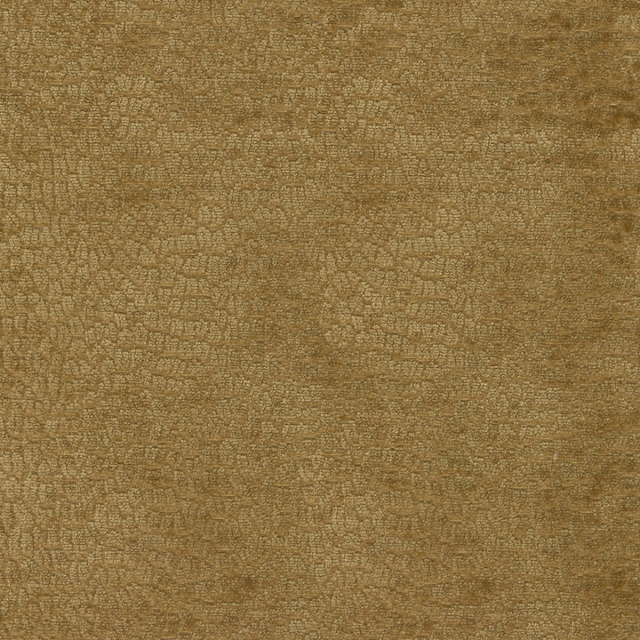 Performance Pebblestone Gold 411471 by PKL Studio Fabric - 100% polyester China 51000 Horizontal: 6.8 and Vertical: 6.8 55 - Fabric Carolina -