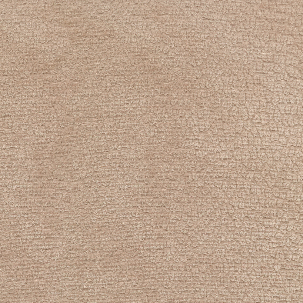 Performance Pebblestone Ballet 411472 by PKL Studio Fabric - 100% polyester China 51000 Horizontal: 6.8 and Vertical: 6.8 55 - Fabric Carolina -