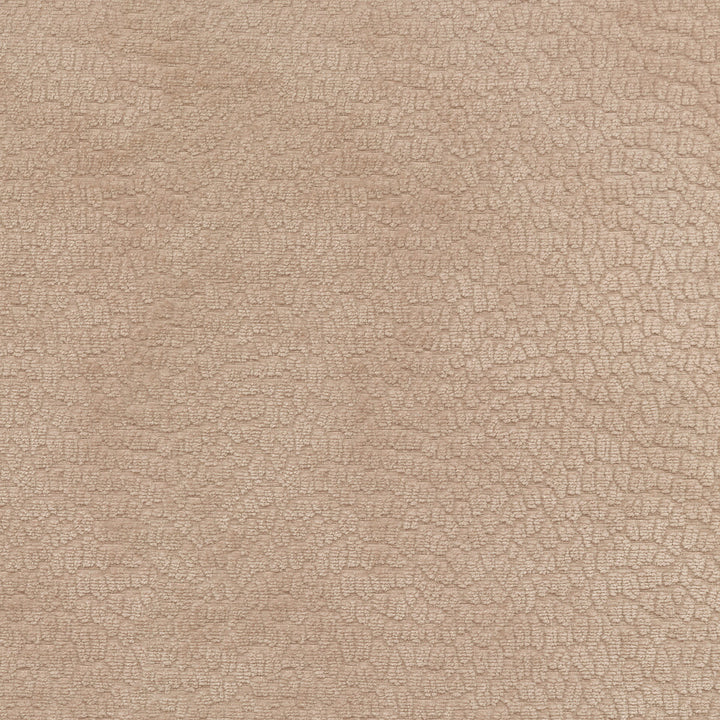 Performance Pebblestone Ballet 411472 by PKL Studio Fabric - 100% polyester China 51000 Horizontal: 6.8 and Vertical: 6.8 55 - Fabric Carolina -