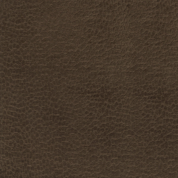 Performance Pebblestone Chocolate 411476 by PKL Studio Fabric - 100% polyester China 51000 Horizontal: 6.8 and Vertical: 6.8 55 - Fabric Carolina -