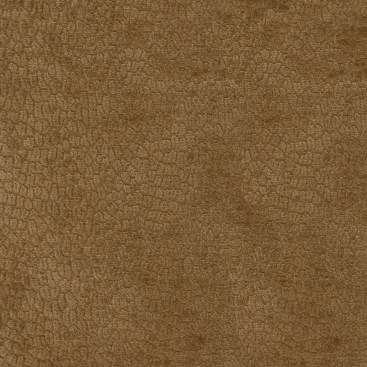 Performance Pebblestone Camel 411477 by PKL Studio Fabric - 100% polyester China 51000 Horizontal: 6.8 and Vertical: 6.8 55 - Fabric Carolina -