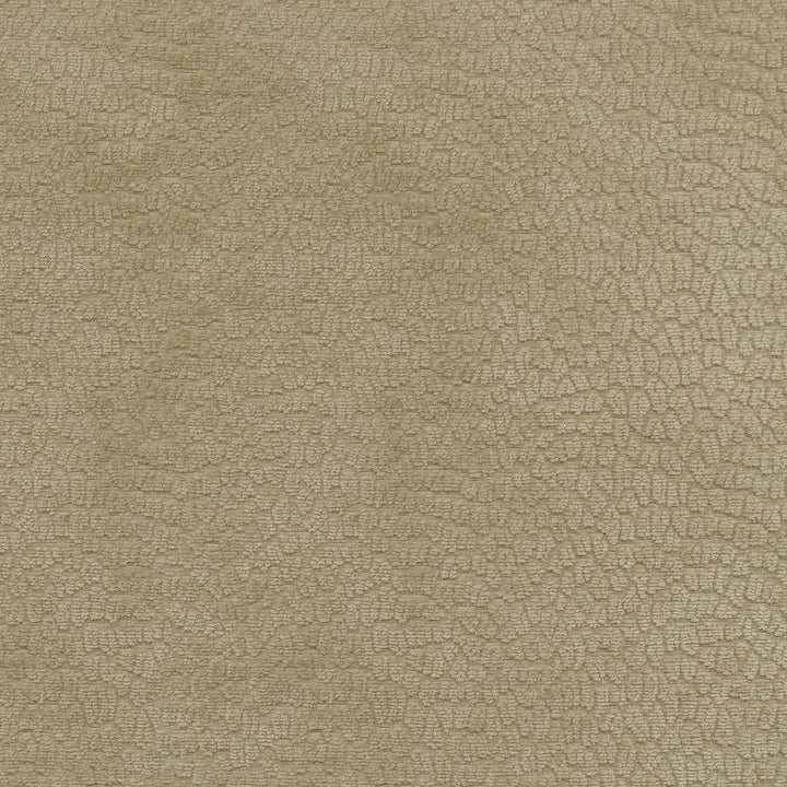 Performance Pebblestone Hemp 411478 by PKL Studio Fabric - 100% polyester China 51000 Horizontal: 6.8 and Vertical: 6.8 55 - Fabric Carolina -