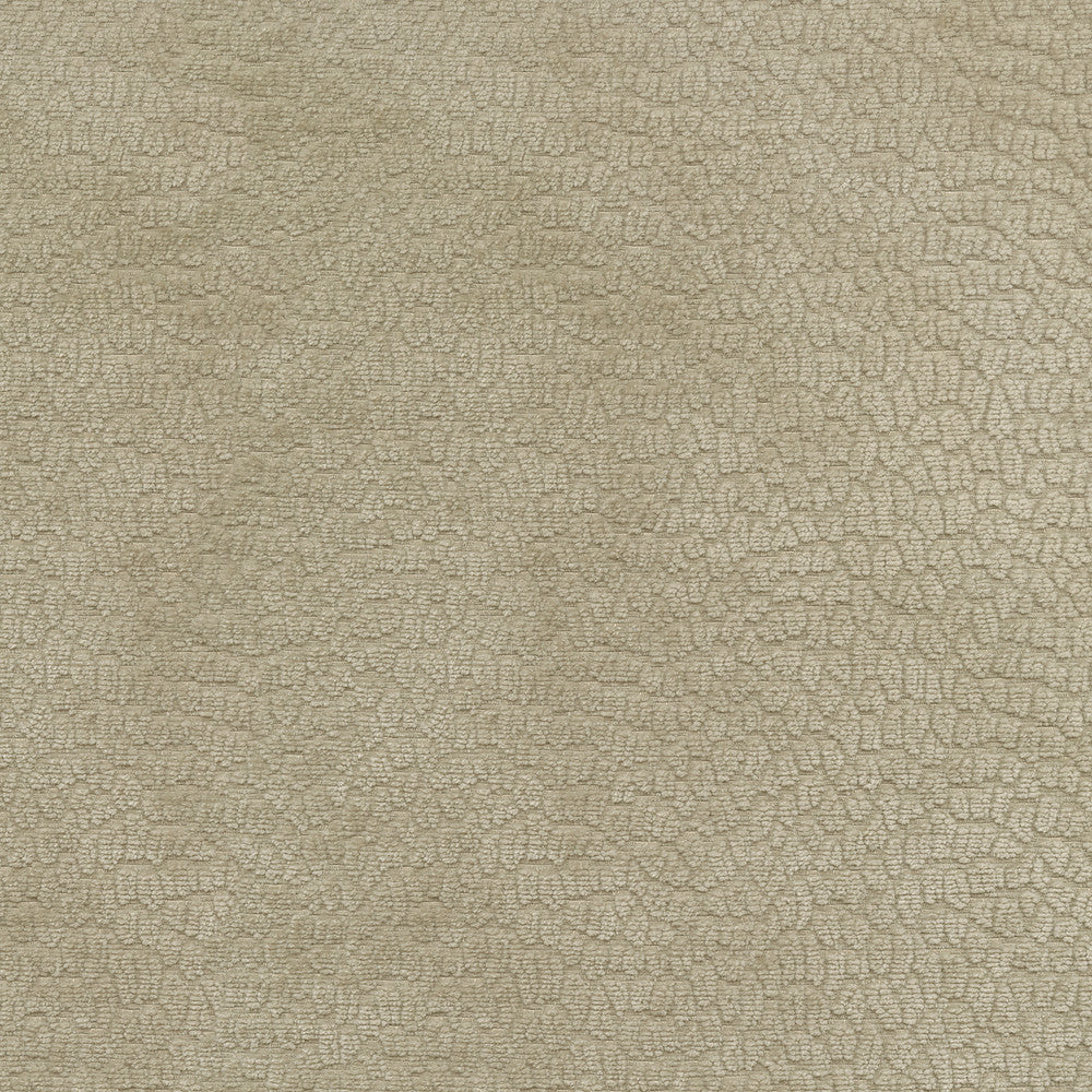Performance Pebblestone Sand 411479 by PKL Studio Fabric - 100% polyester China 51000 Horizontal: 6.8 and Vertical: 6.8 55 - Fabric Carolina -