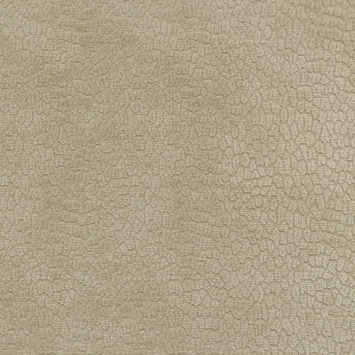 Performance Pebblestone Sand 411479 by PKL Studio Fabric - 100% polyester China 51000 Horizontal: 6.8 and Vertical: 6.8 55 - Fabric Carolina -