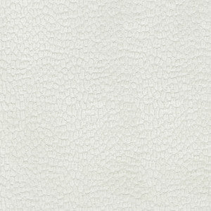 Performance Pebblestone Ecru 411481 by PKL Studio Fabric