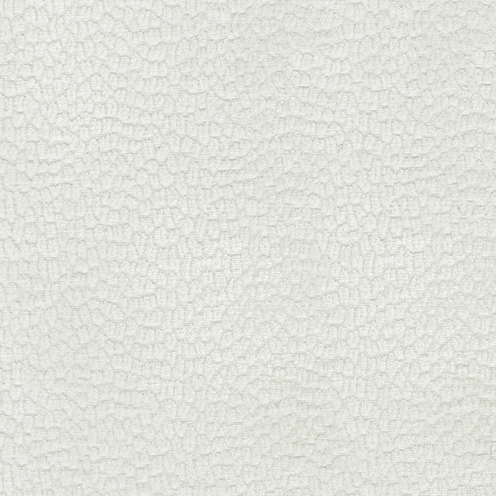 Performance Pebblestone Ecru 411481 by PKL Studio Designer Fabric - 100% polyester China 51000 Horizontal: 6.8 and Vertical: 6.8 55 - Swanky Fabrics -