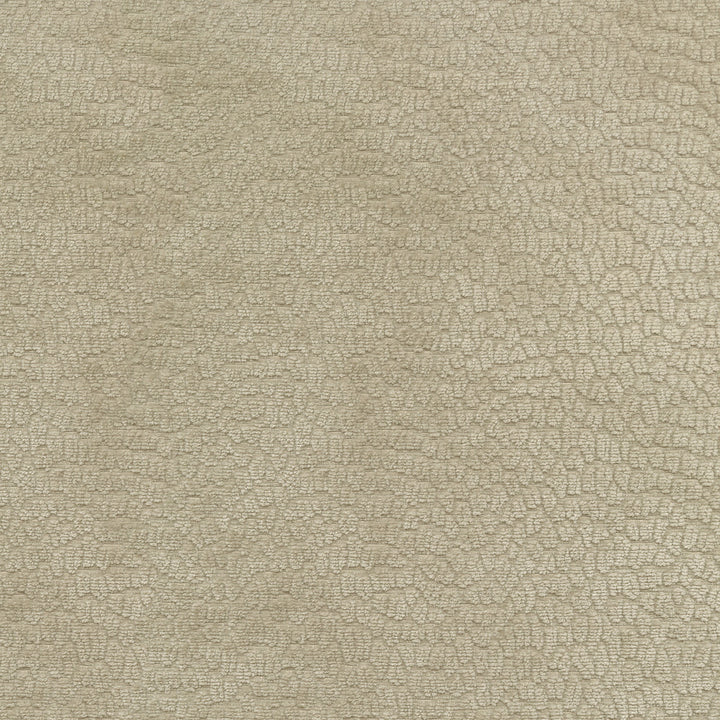 Performance Pebblestone Flax 411483 by PKL Studio Fabric - 100% polyester China 51000 Horizontal: 6.8 and Vertical: 6.8 55 - Fabric Carolina -