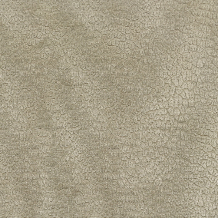 Performance Pebblestone Fossil 411484 by PKL Studio Fabric - 100% polyester China 51000 Horizontal: 6.8 and Vertical: 6.8 55 - Fabric Carolina -