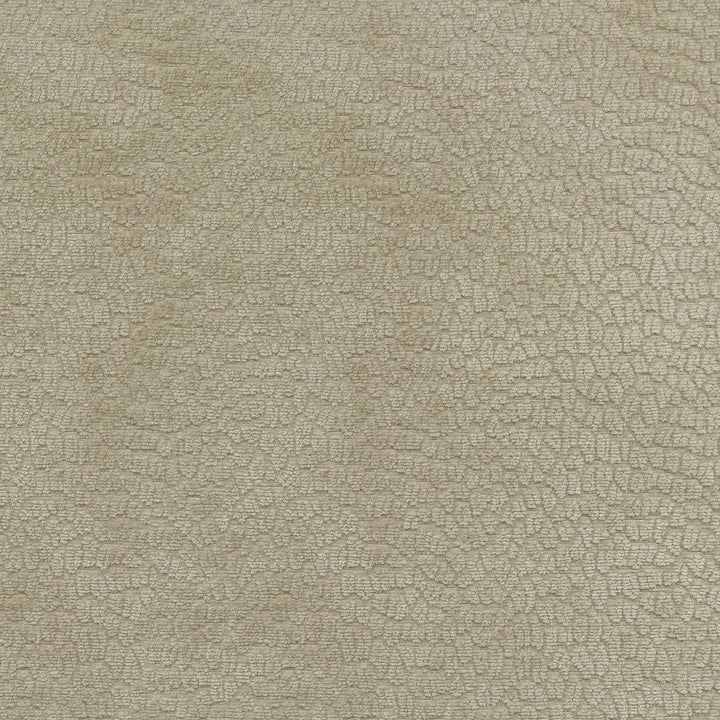 Performance Pebblestone Fossil 411484 by PKL Studio Designer Fabric - 100% polyester China 51000 Horizontal: 6.8 and Vertical: 6.8 55 - Swanky Fabrics -